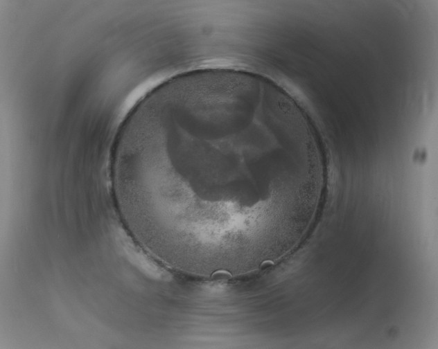 X0000114111230200910051505