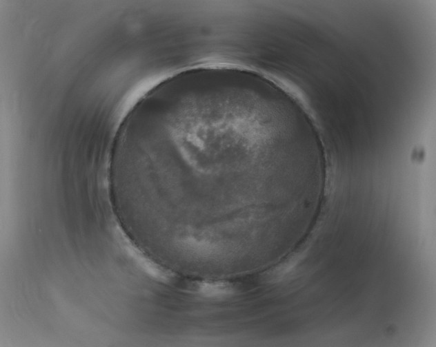 X0000114111231200910051505