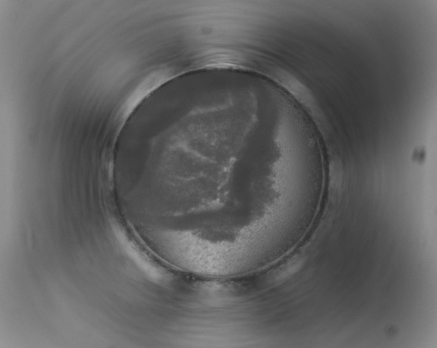 X0000114111234200910051505
