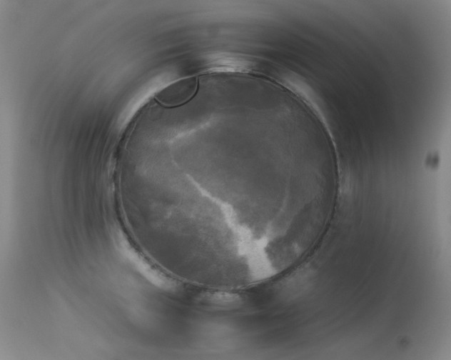 X0000114111235200910051505