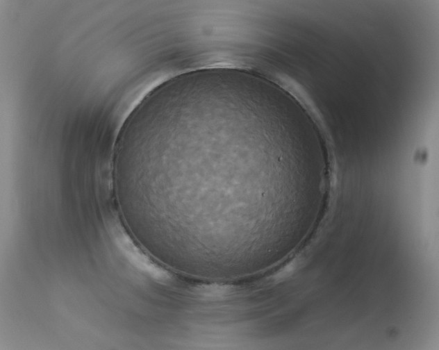 X0000114111236200910051505