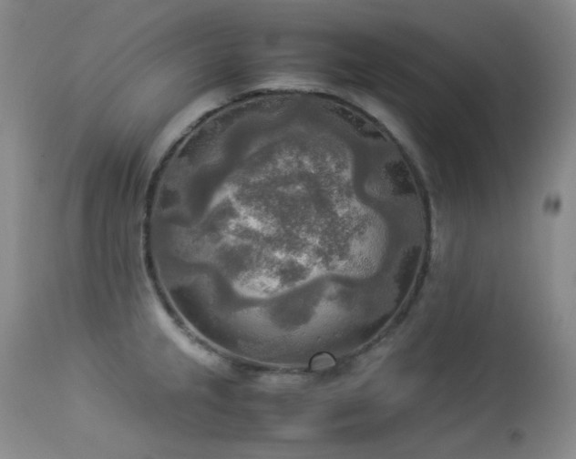 X0000114111237200910051505
