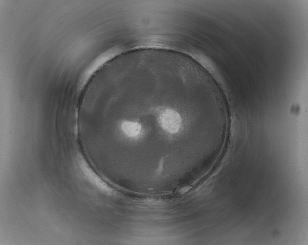 X0000114111238200910051505