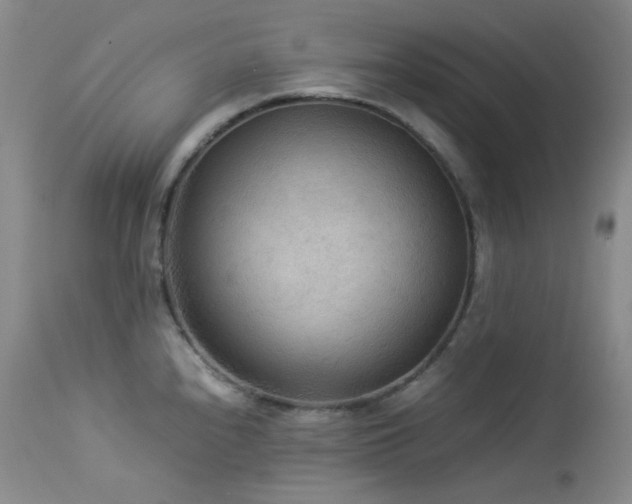 X0000114111240200910051506