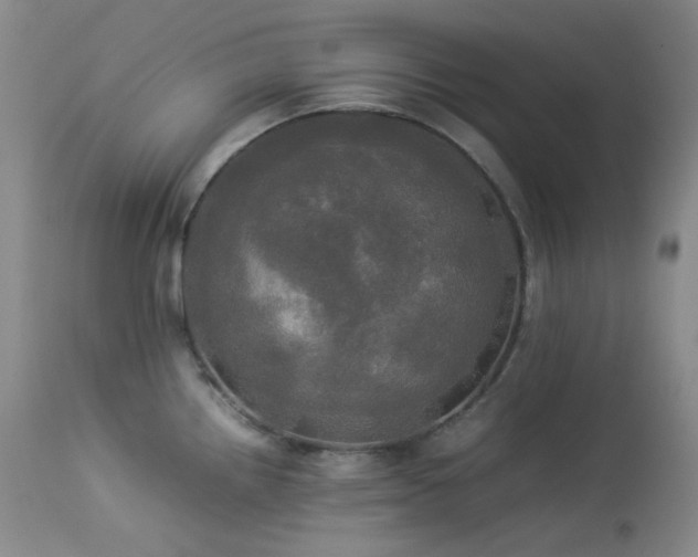 X0000114111242200910051506