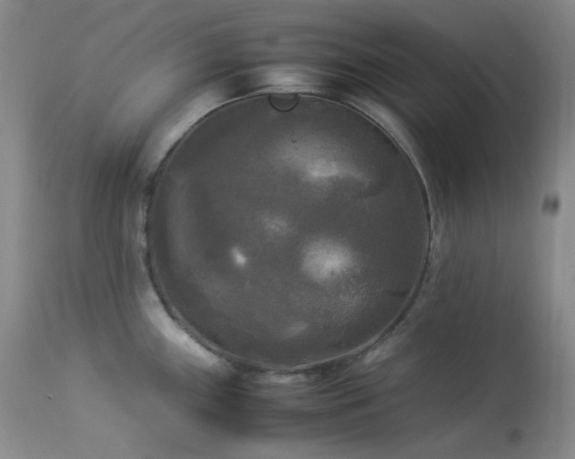 X0000114111243200910051506