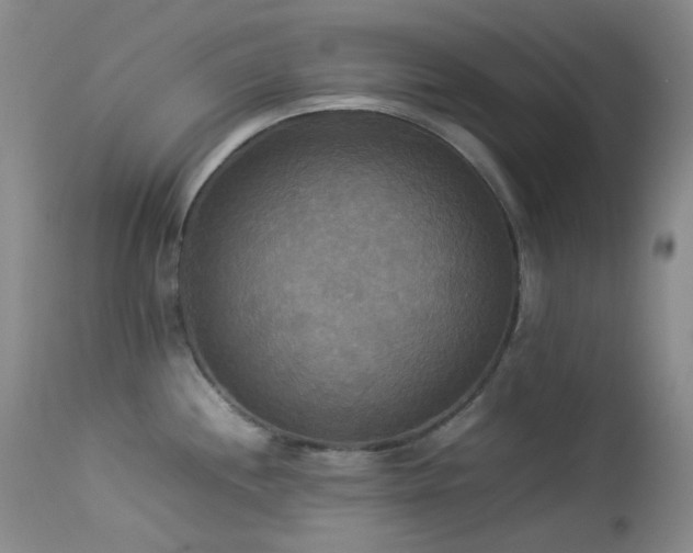 X0000114111244200910051506