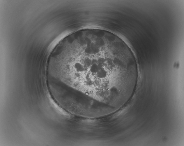 X0000114111245200910051506