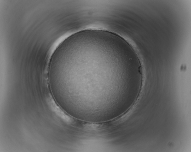 X0000114111248200910051506