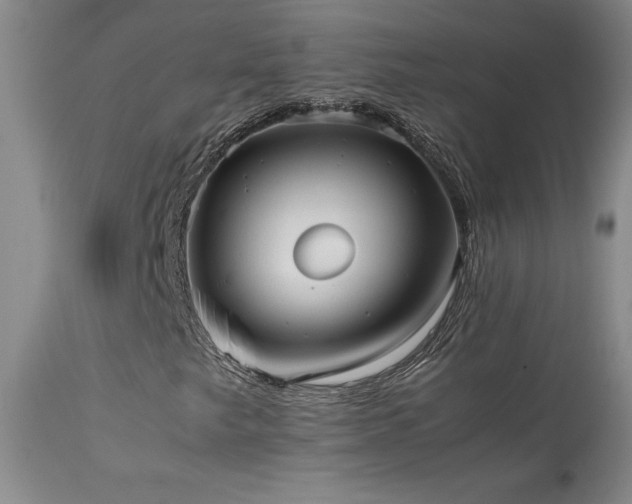 X0000114111249200910051505