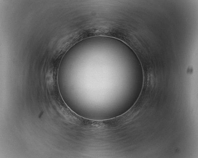 X0000114111250200910051505