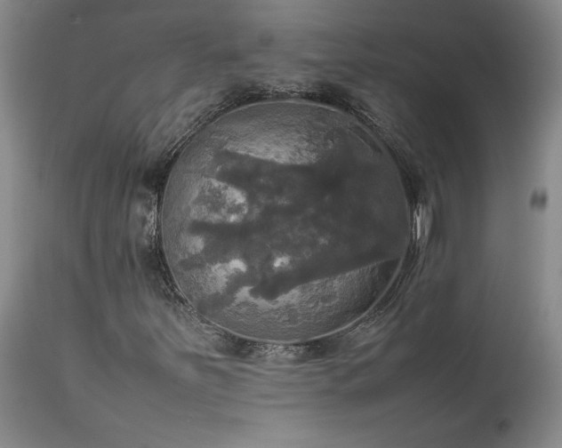 X0000114111251200910051505