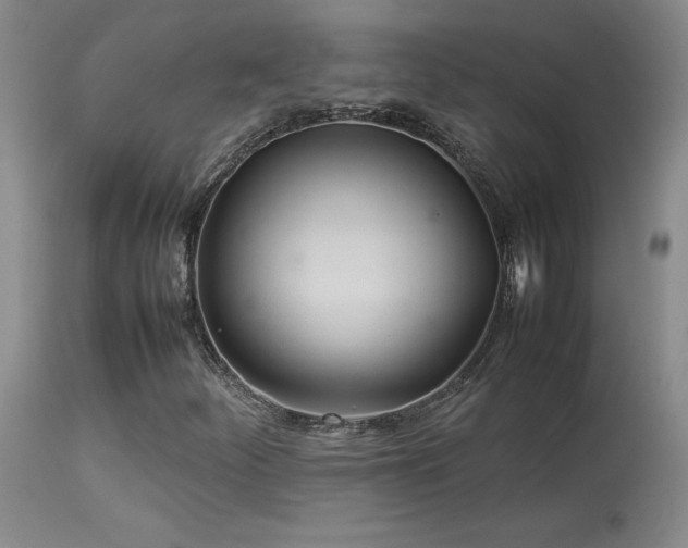 X0000114111252200910051505