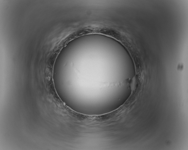 X0000114111253200910051505