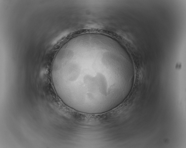 X0000114111254200910051505