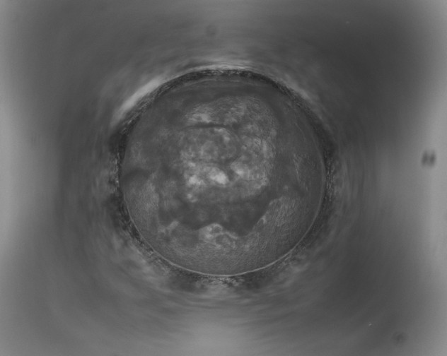 X0000114111255200910051505