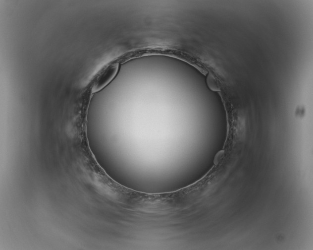 X0000114111256200910051505