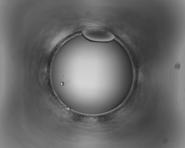 X0000114111261200910051505