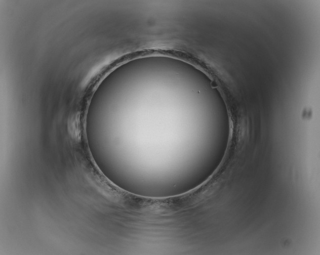 X0000114111262200910051504