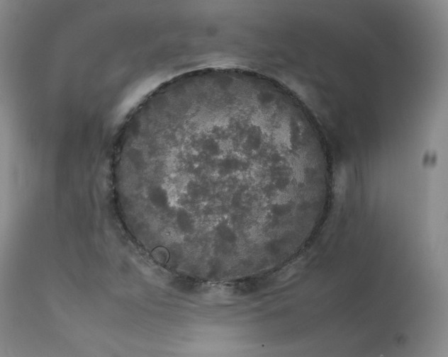 X0000114111263200910051504