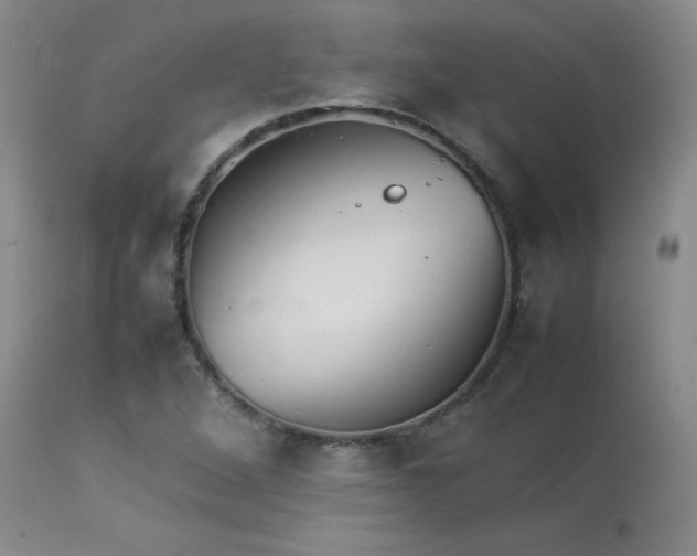 X0000114111264200910051504