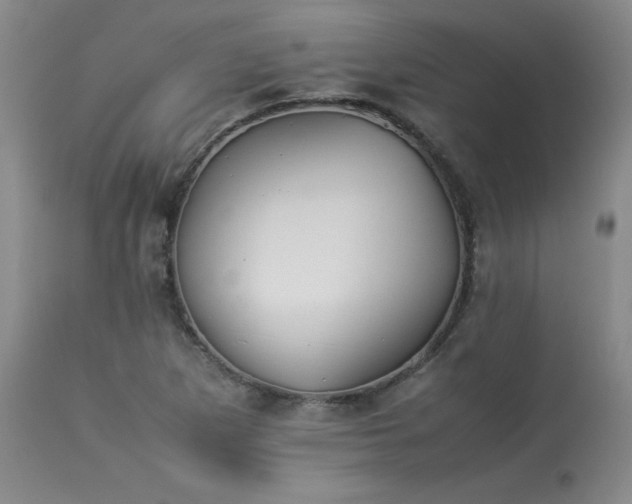 X0000114111265200910051504