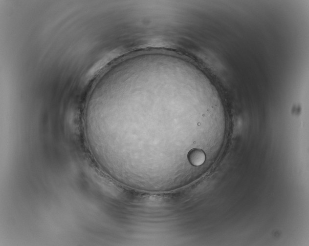 X0000114111266200910051504
