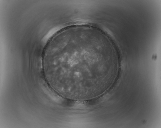 X0000114111267200910051504