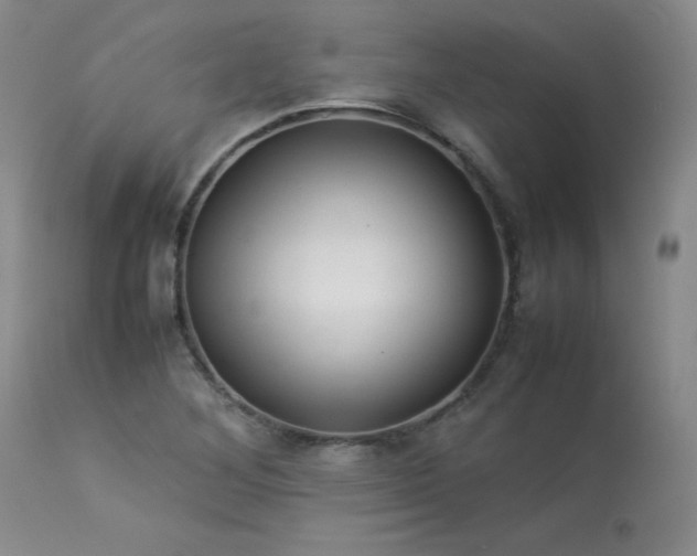 X0000114111268200910051504