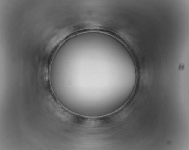 X0000114111269200910051504