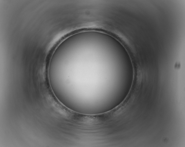 X0000114111270200910051504