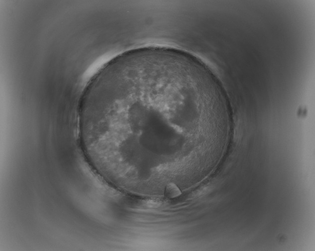 X0000114111271200910051504
