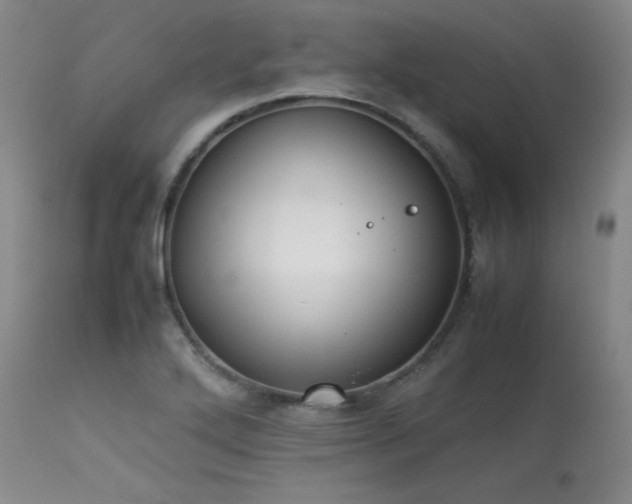 X0000114111272200910051504