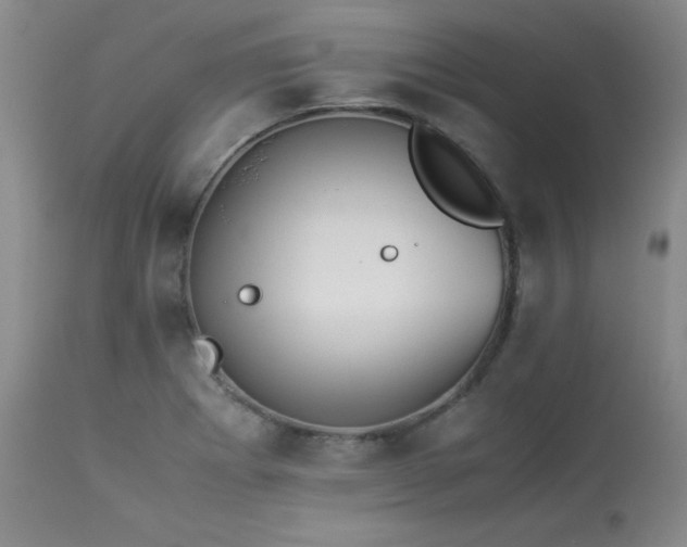 X0000114111273200910051504