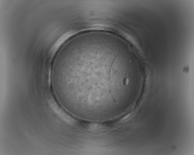 X0000114111275200910051504