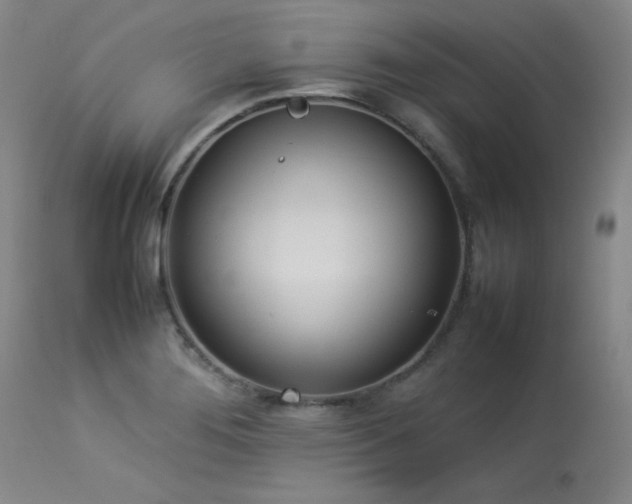 X0000114111276200910051504