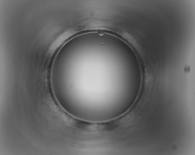 X0000114111277200910051504