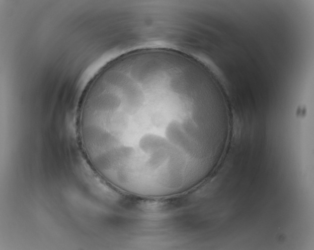 X0000114111278200910051504