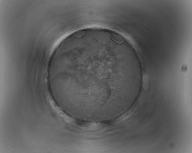 X0000114111279200910051504