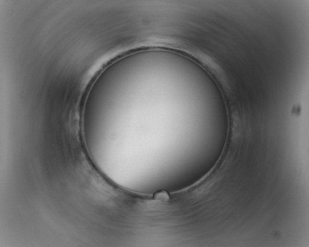 X0000114111280200910051504