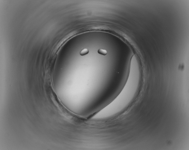 X0000114111281200910051504