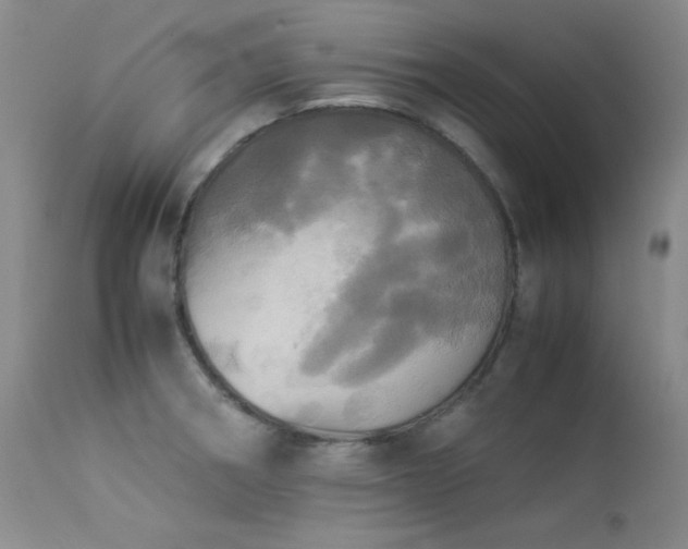 X0000114111282200910051504