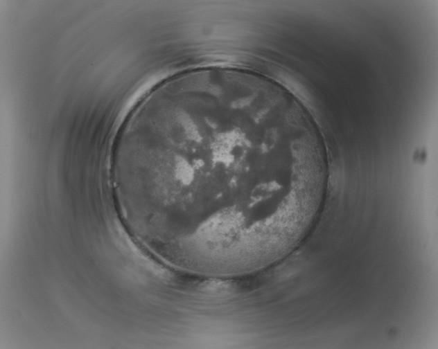 X0000114111283200910051504