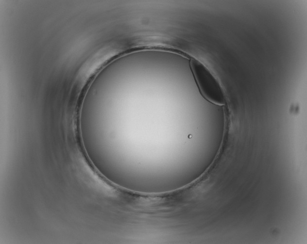 X0000114111285200910051504