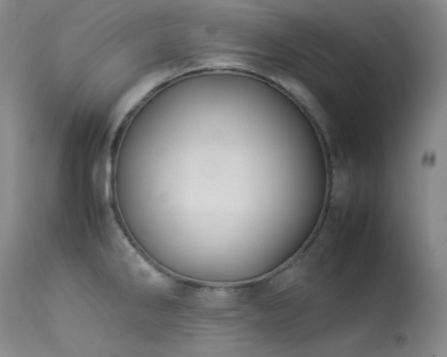 X0000114111286200910051504