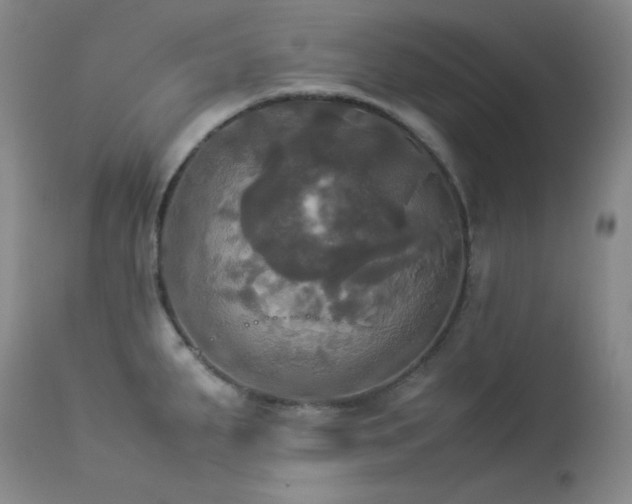 X0000114111287200910051504