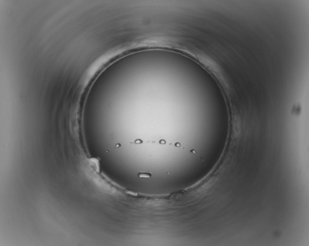 X0000114111288200910051504