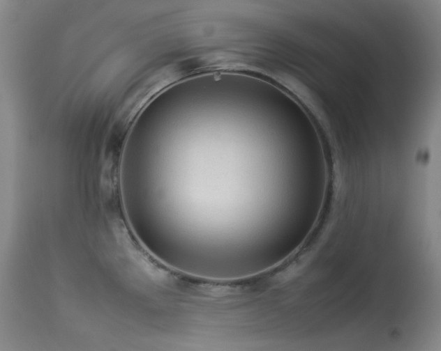 X0000114111289200910051504