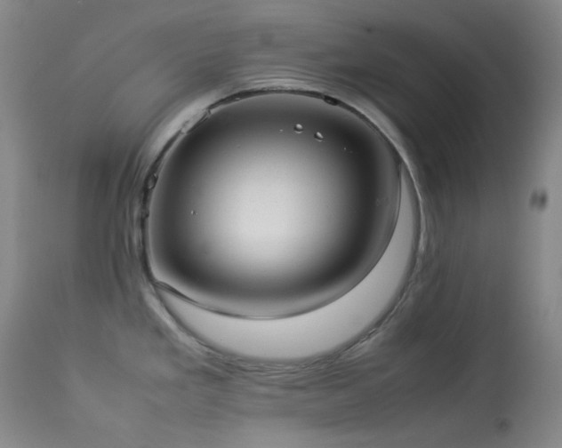 X0000114111293200910051504