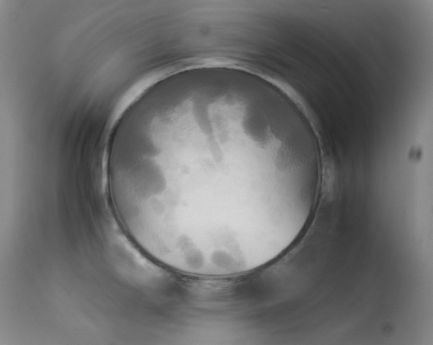 X0000114111294200910051504
